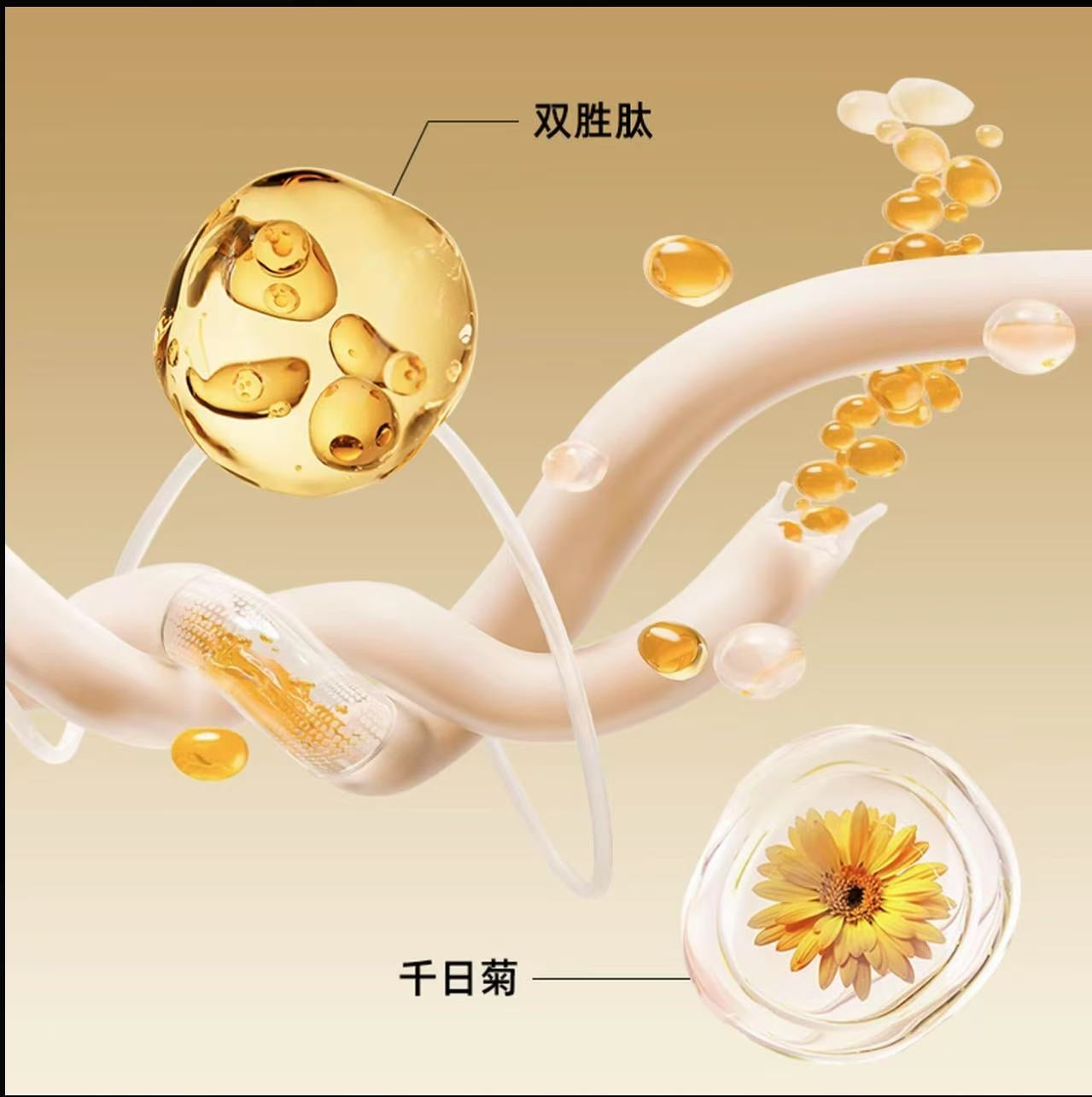 AA 【双子专属】Kessetti凯瑟缇逆光赋活眼部精华油(紧致抗皱)