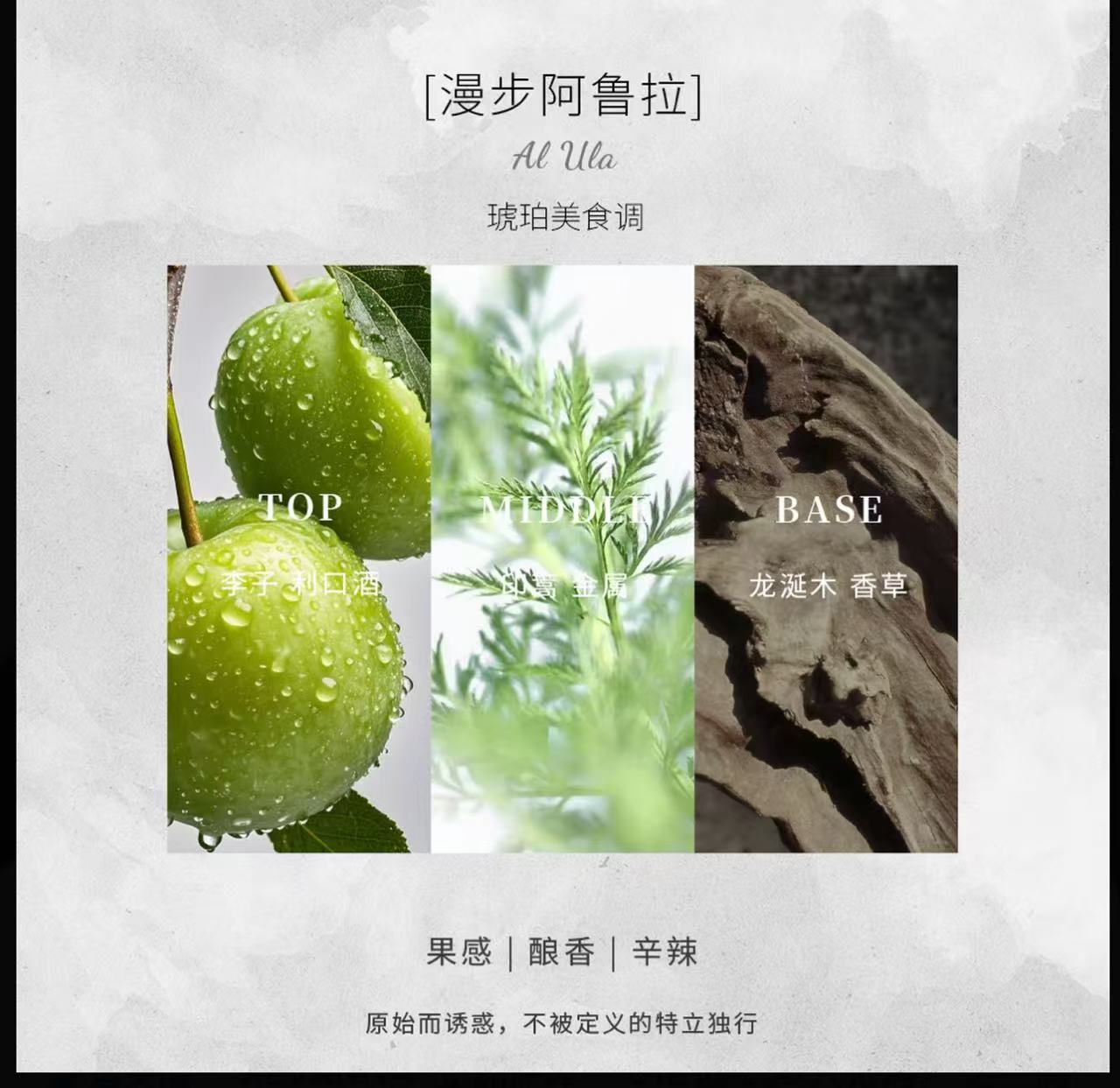 AAA 肉媽推薦芮珐纳寻影追光香水套盒留香持久便携好闻