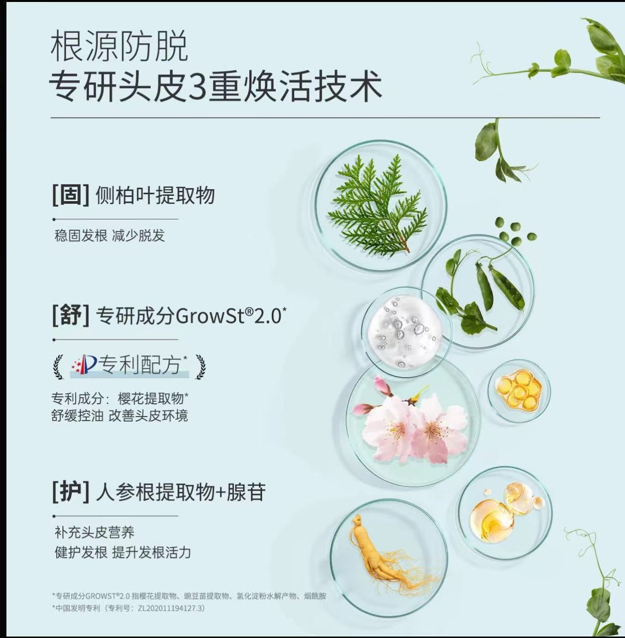 AA   海德老师【王牌防脱三件套】赋强防脱健发精华露+防脱洗发露+头皮防护润发乳