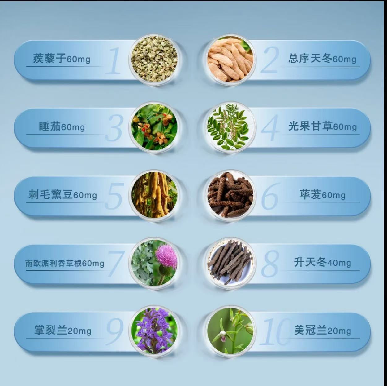 AAAA  【伦敦KJ专属】TAMRA塔姆拉小蓝瓶POWER草本活力胶囊印度阿育吠陀