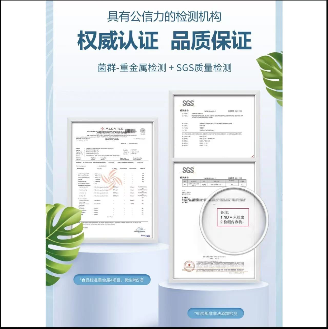 AAAA  【伦敦KJ专属】TAMRA塔姆拉小蓝瓶POWER草本活力胶囊印度阿育吠陀