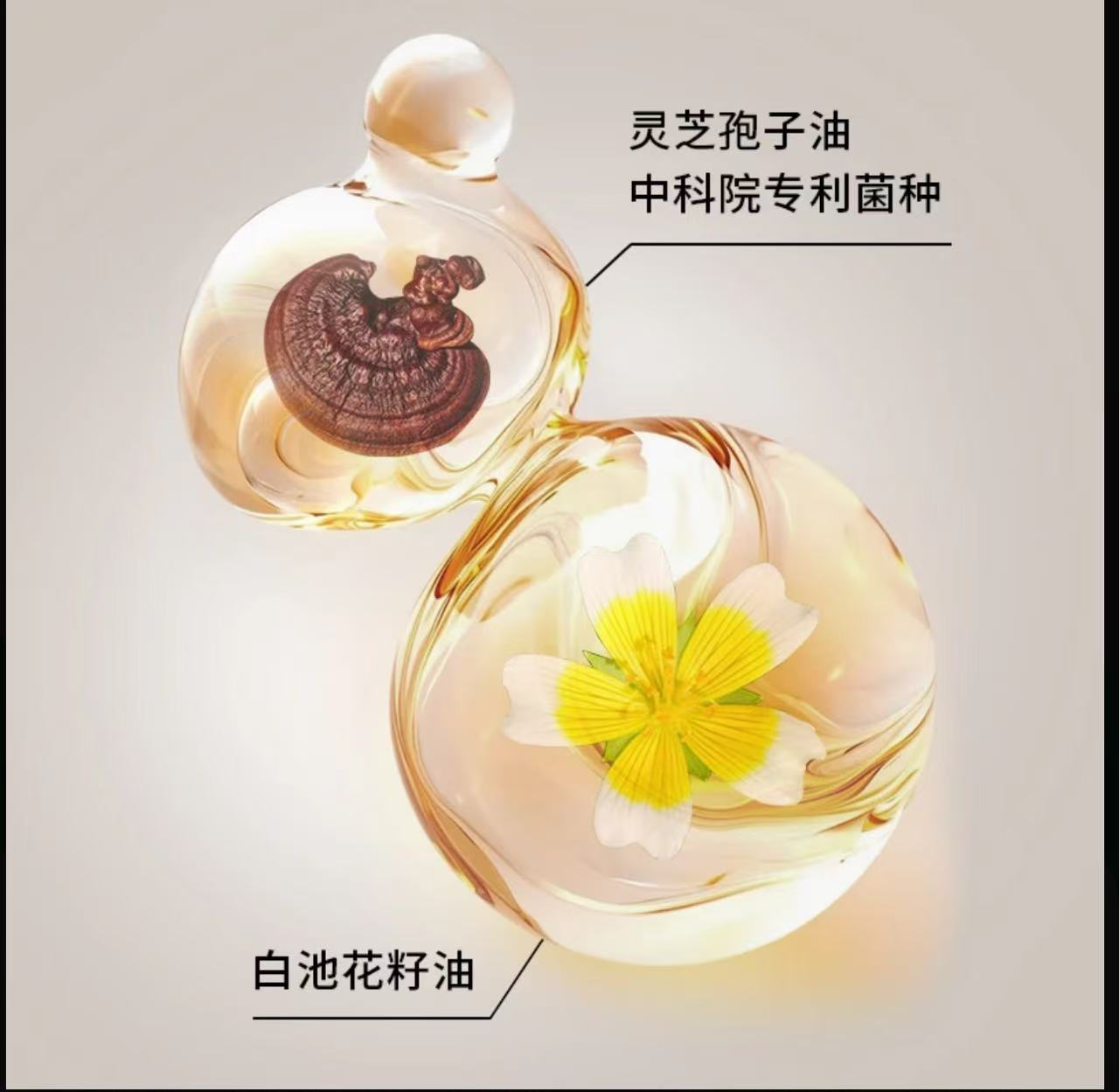 AA   【肉姐专属】HoliLuna月圣沉香油霜（卡粉救星 干皮亲妈）