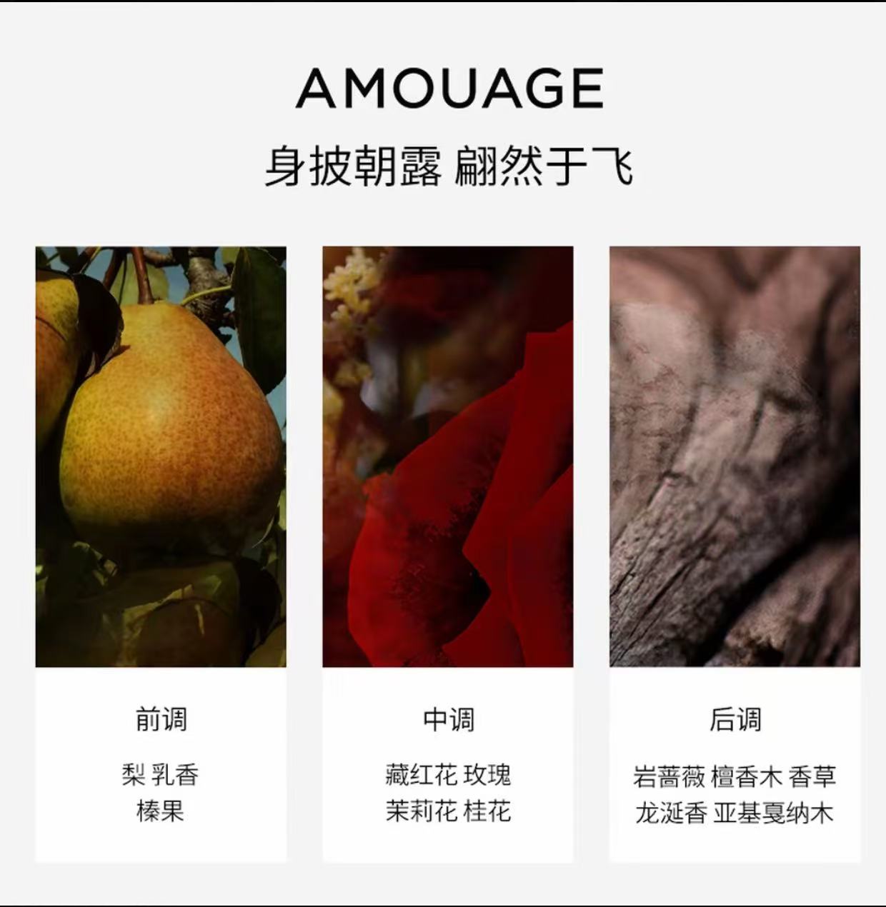 AAA     【肉姐专属】Amouage香水秘藏神谕女士淡香精100ml/瓶