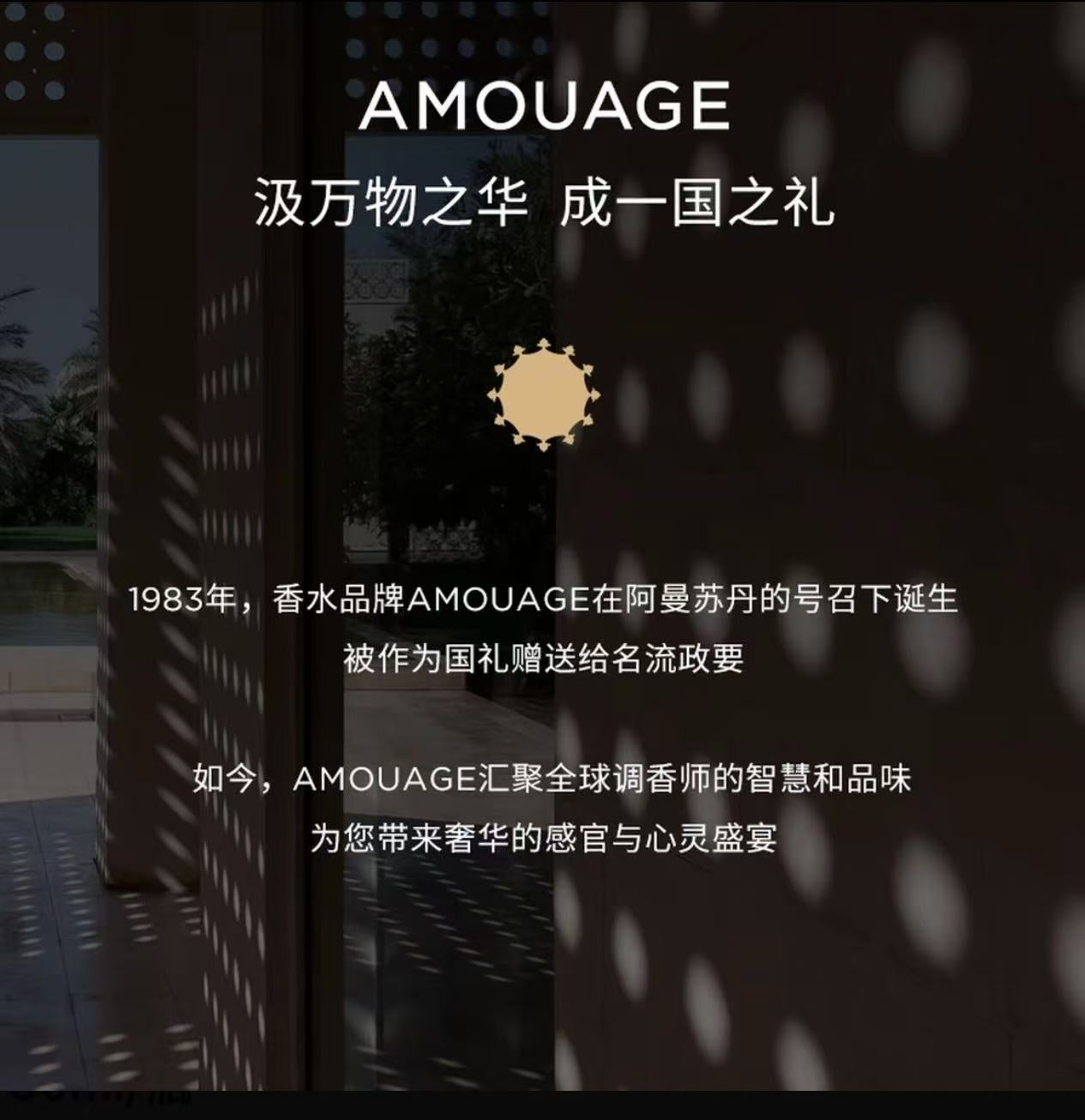 AAA     【肉姐专属】Amouage香水秘藏神谕女士淡香精100ml/瓶