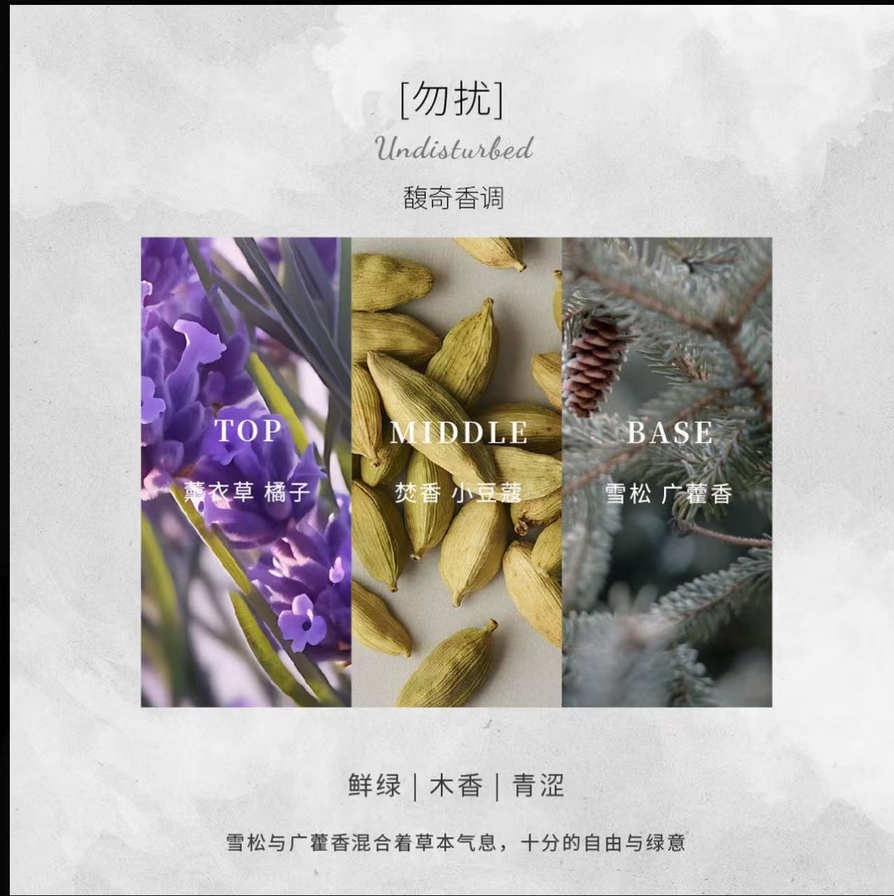 AAA  肉媽推薦芮珐纳寻影追光香水套盒留香持久便携好闻