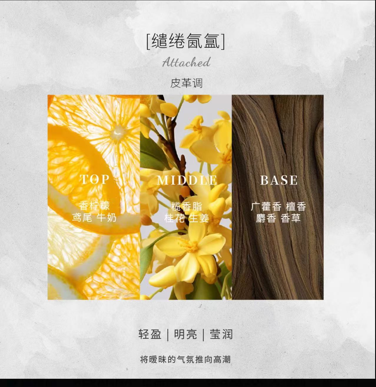 AAA  肉媽推薦芮珐纳寻影追光香水套盒留香持久便携好闻