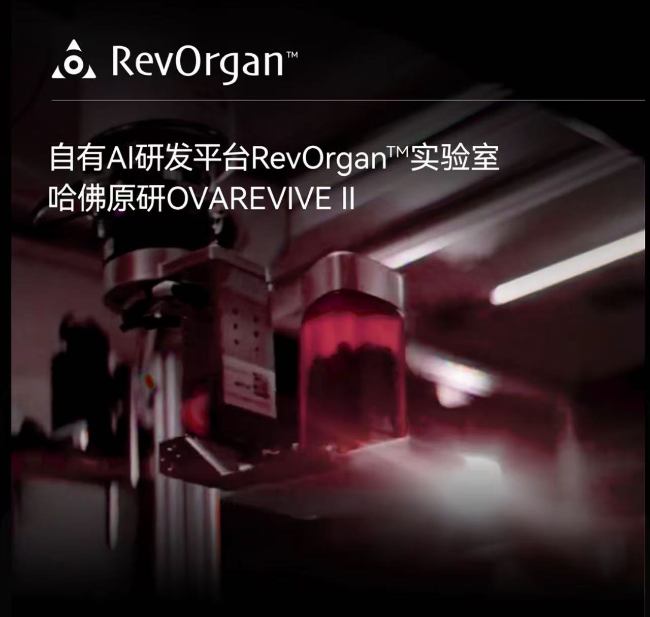 AAA     LAIFE红宝瓶Ⅱ卵巢辅酶Q10肌醇护巢女性滋补养颜调经胶囊